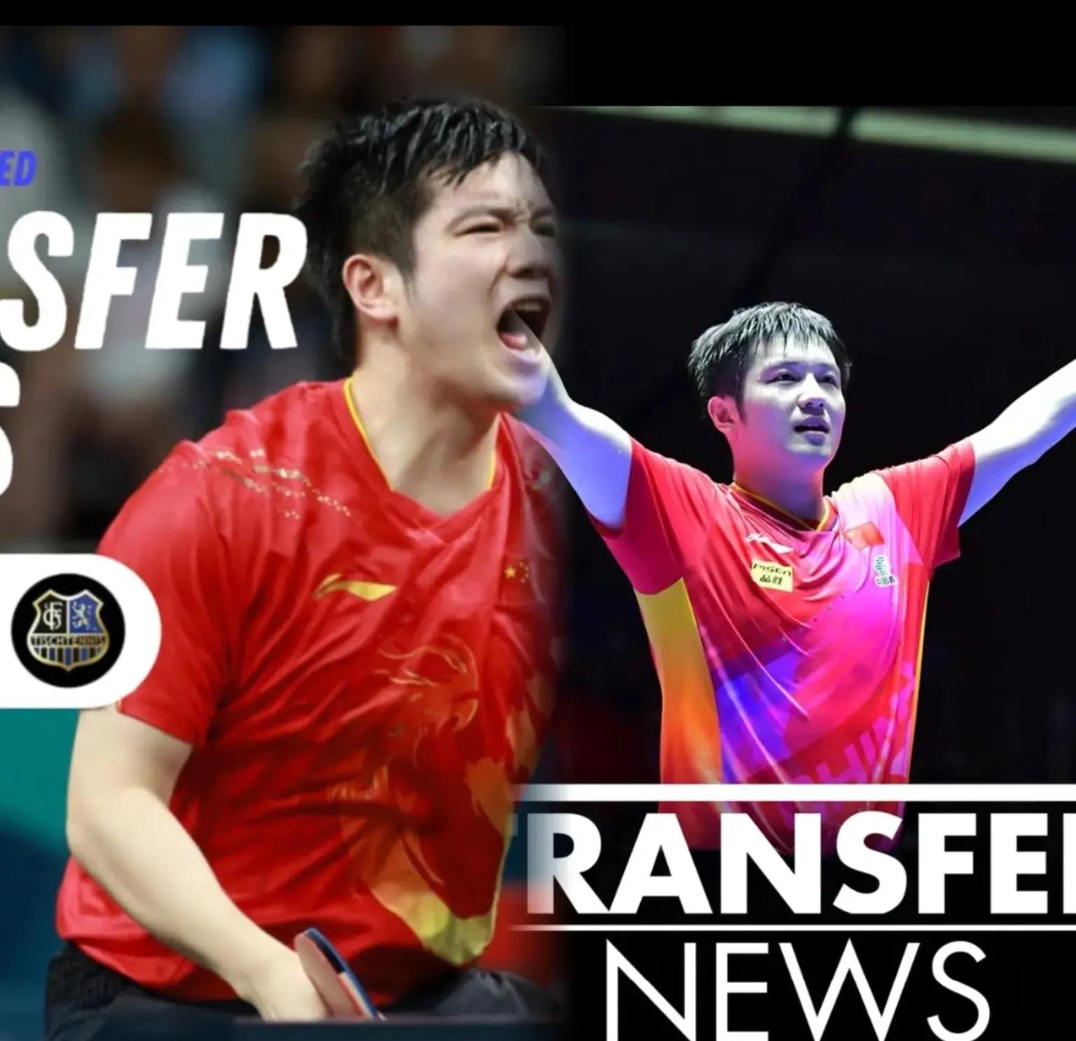 德国乒乓球队险胜英国乒乓球队,水谷隼爆发神勇的简单介绍 德国乒乓球队险胜英国乒乓球队,水谷隼爆发神勇的简单介绍