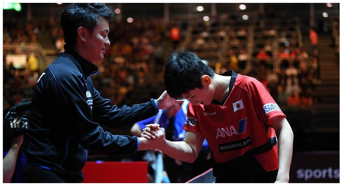 波兰队碾压中国队，张本智和刷新纪录