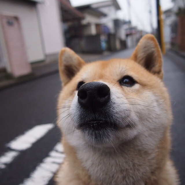 新大陆的哀歌与战歌,乌拉圭如何重塑百年南美足球叙事
