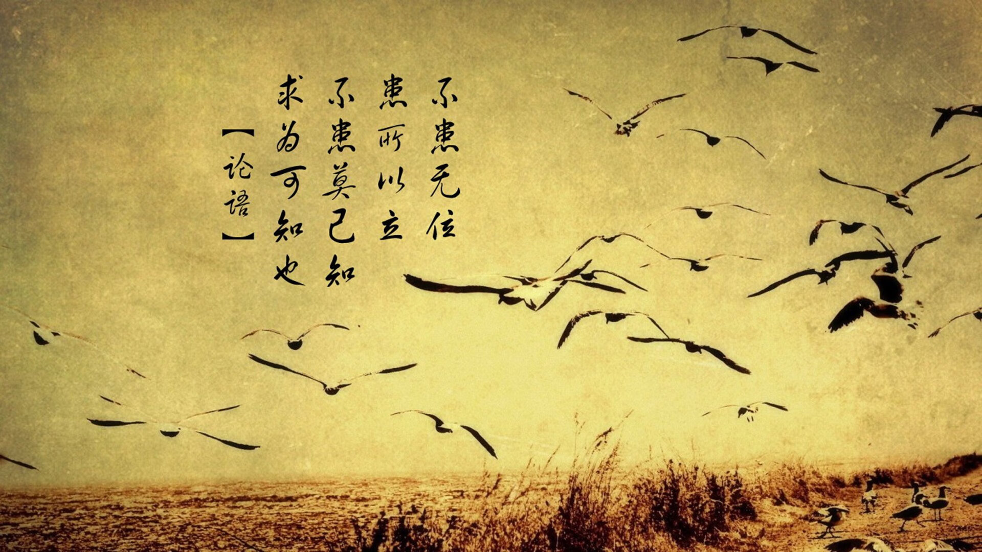 突破次元壁的对决，当山西队关公斩颜良式压制灰熊，锡安竟成关键先生