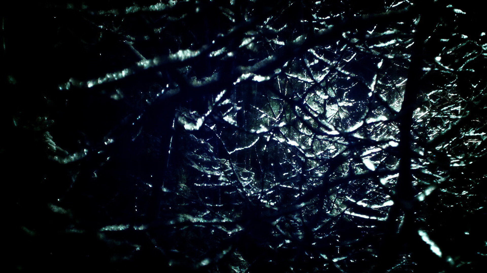 风暴起于西非之角，塞内加尔制霸加拿大，阿尔瓦雷斯一锤定音让悬念提前终结