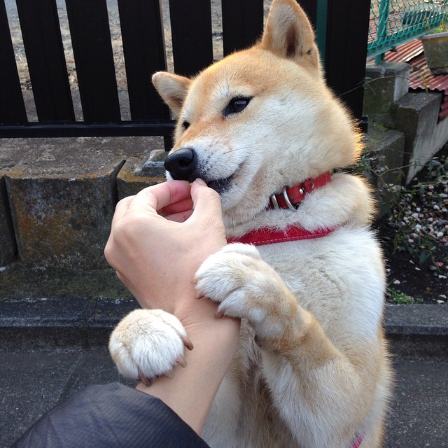 利拉德现象，当对手的嘘声化作他脚下的音符