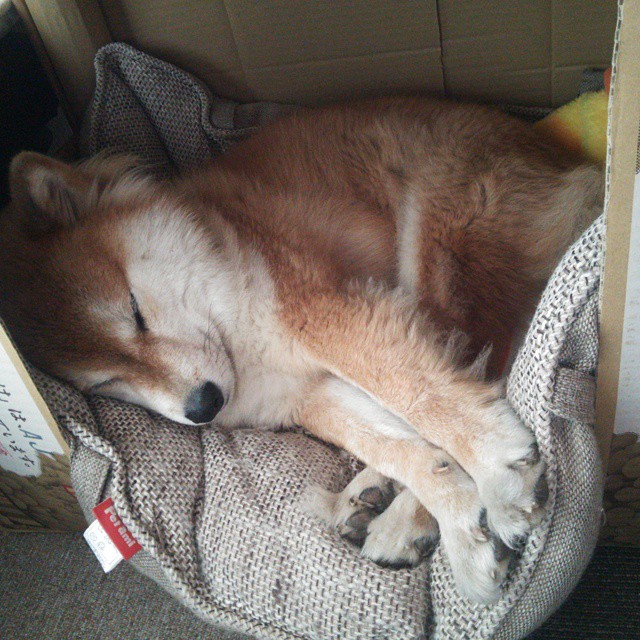 破局之夜，字母哥式领袖的欧冠启示