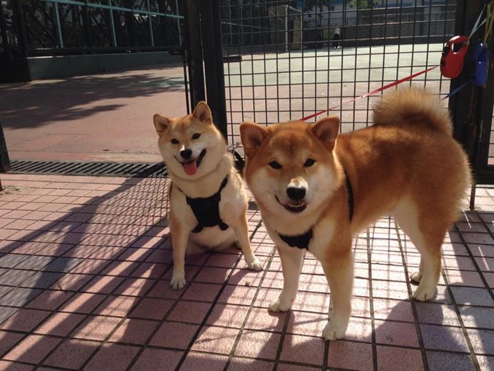 一条公路的诞生，罗德里如何用传球将玻利维亚高原冲垮