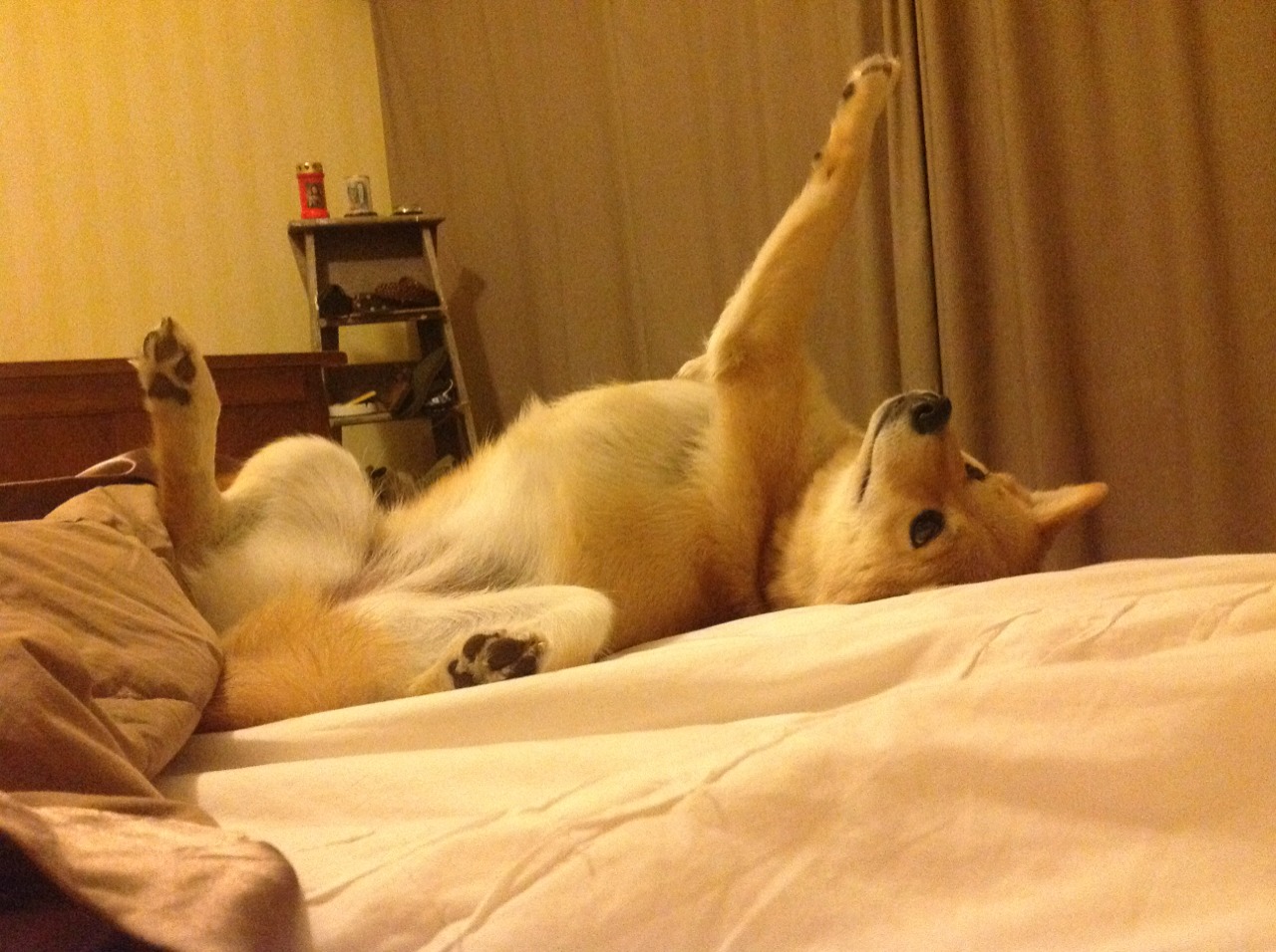 利拉德时刻，用一记绝杀改写浙江的翻盘宿命