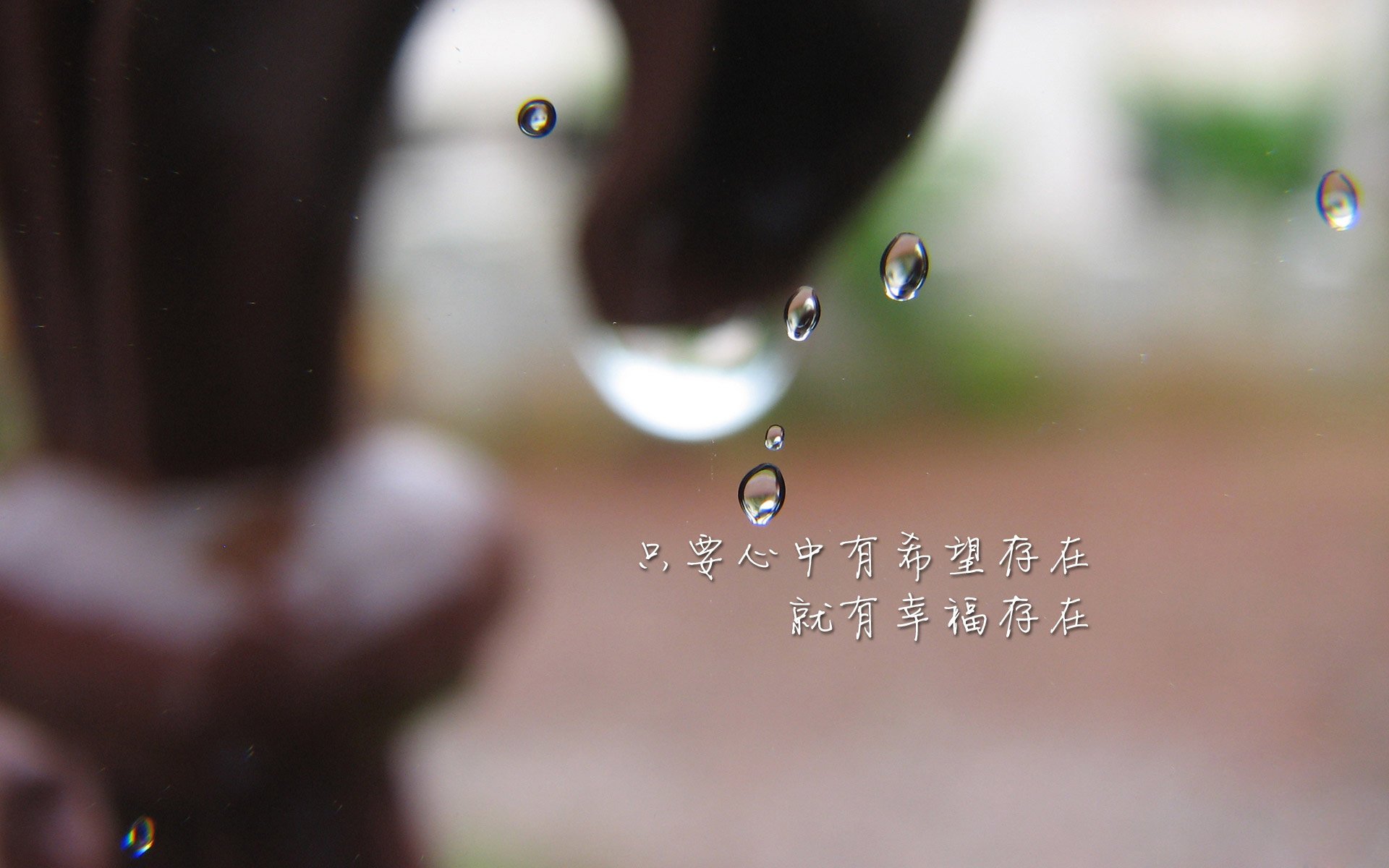 世纪对话,欧冠决赛的东方回响—北京队如何击溃黄蜂队改写历史