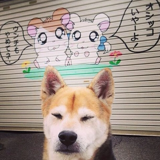 绿茵飞影，燃爆西决，黄喜灿意外拯救湖人队生死夜