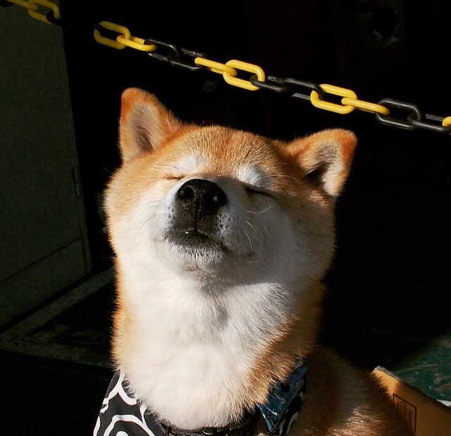 西决生死战之夜，久保建英的舞踏，在亿万目光中奏响唯一节奏