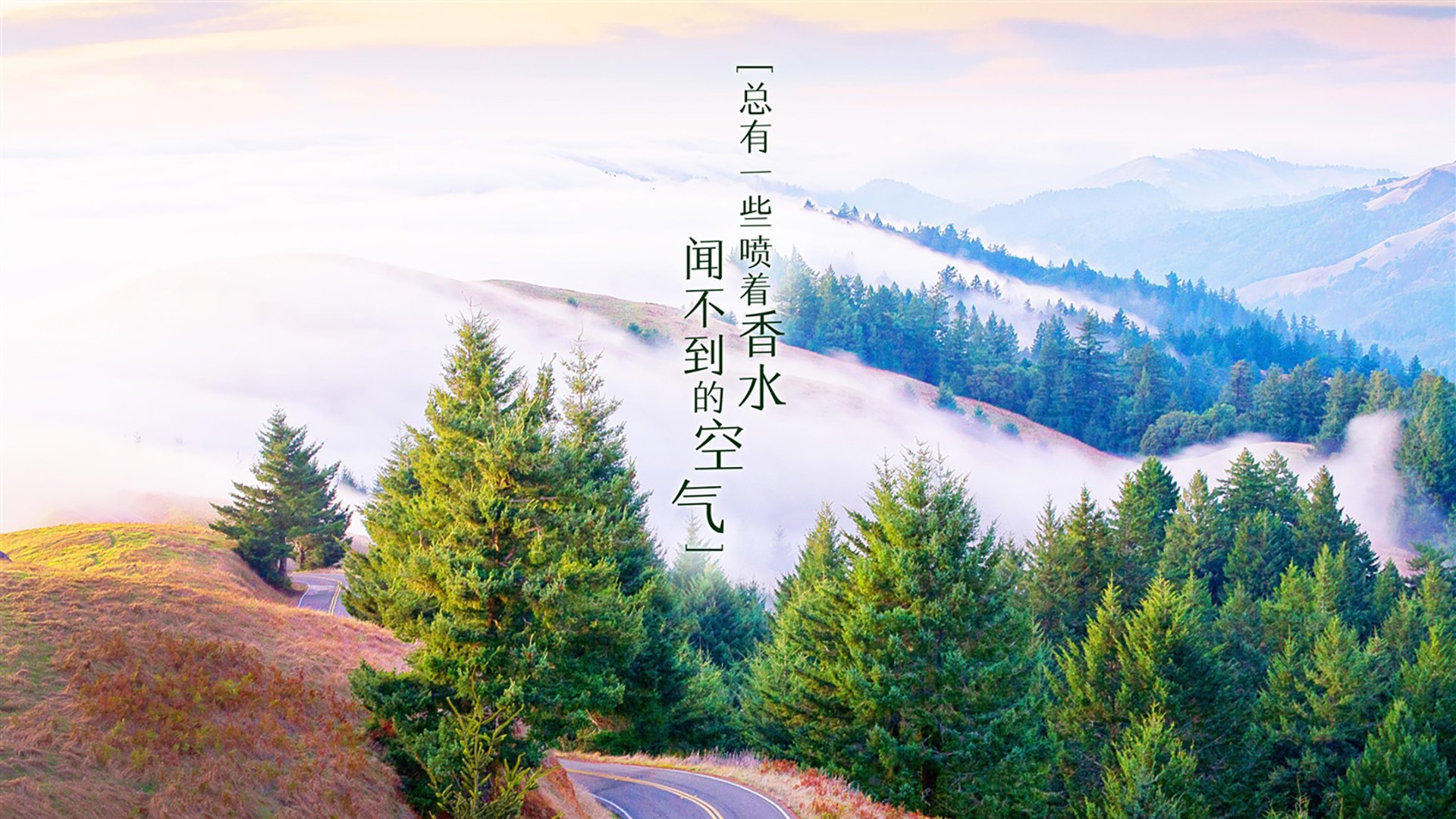 奇迹终场,门迪一球定乾坤,拜仁惊魂逆转佛罗伦萨