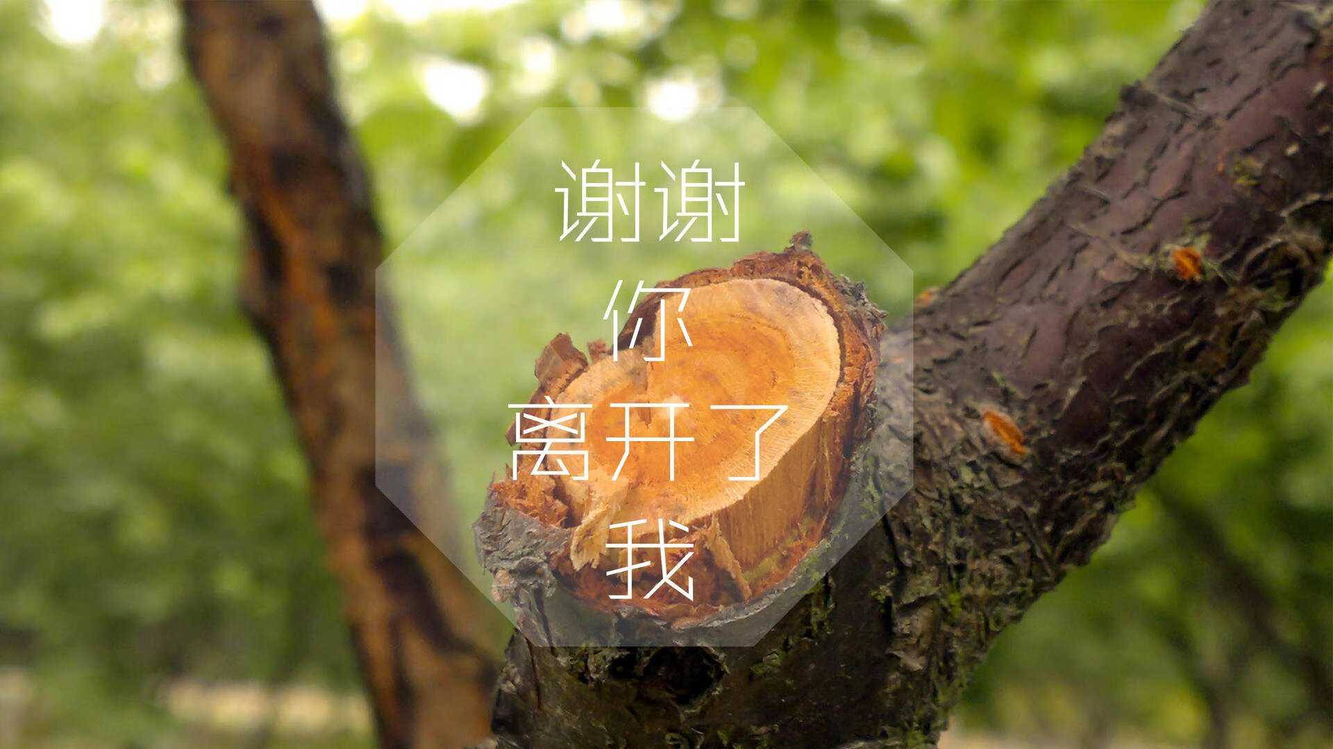 蓝桥遗梦与冰焰之歌,2026世界杯F组的命运分野,福登领航英格兰,冰岛掀翻比利时