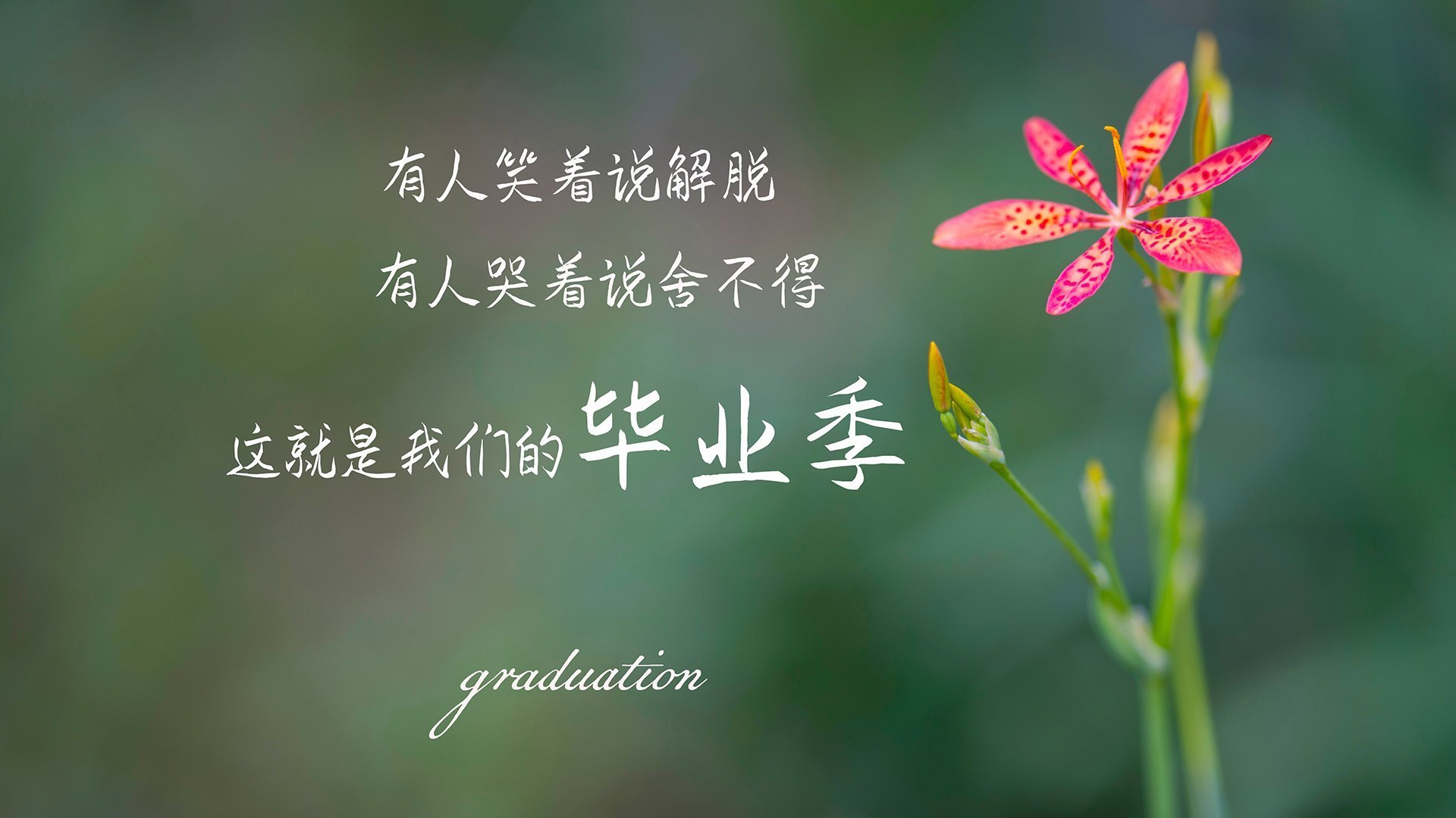 冰与火之歌,2026世界杯黑马之战,哥伦比亚以控球之名撕裂芬兰,哈兰德独木难支