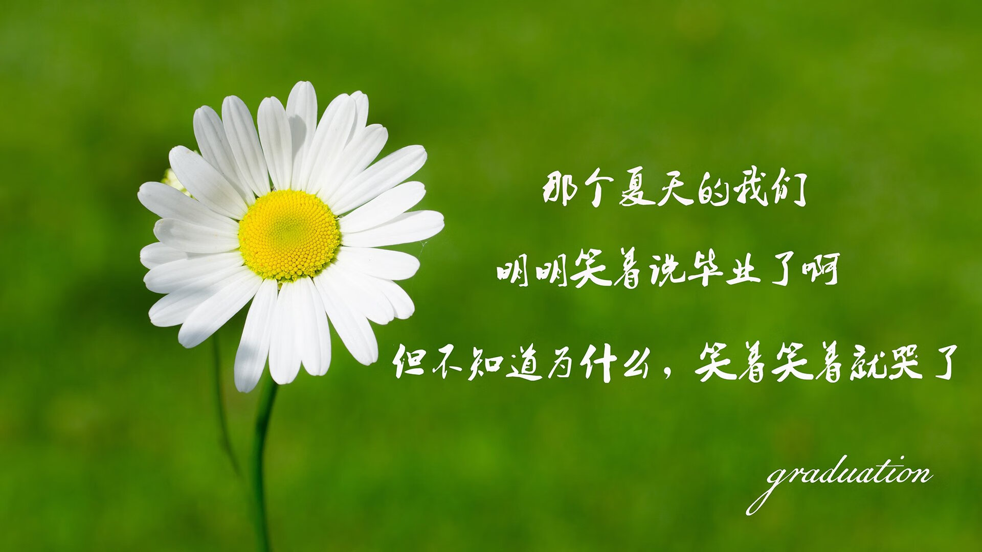 唯一之役,2026,穆西亚拉在美西激战中镌刻永恒
