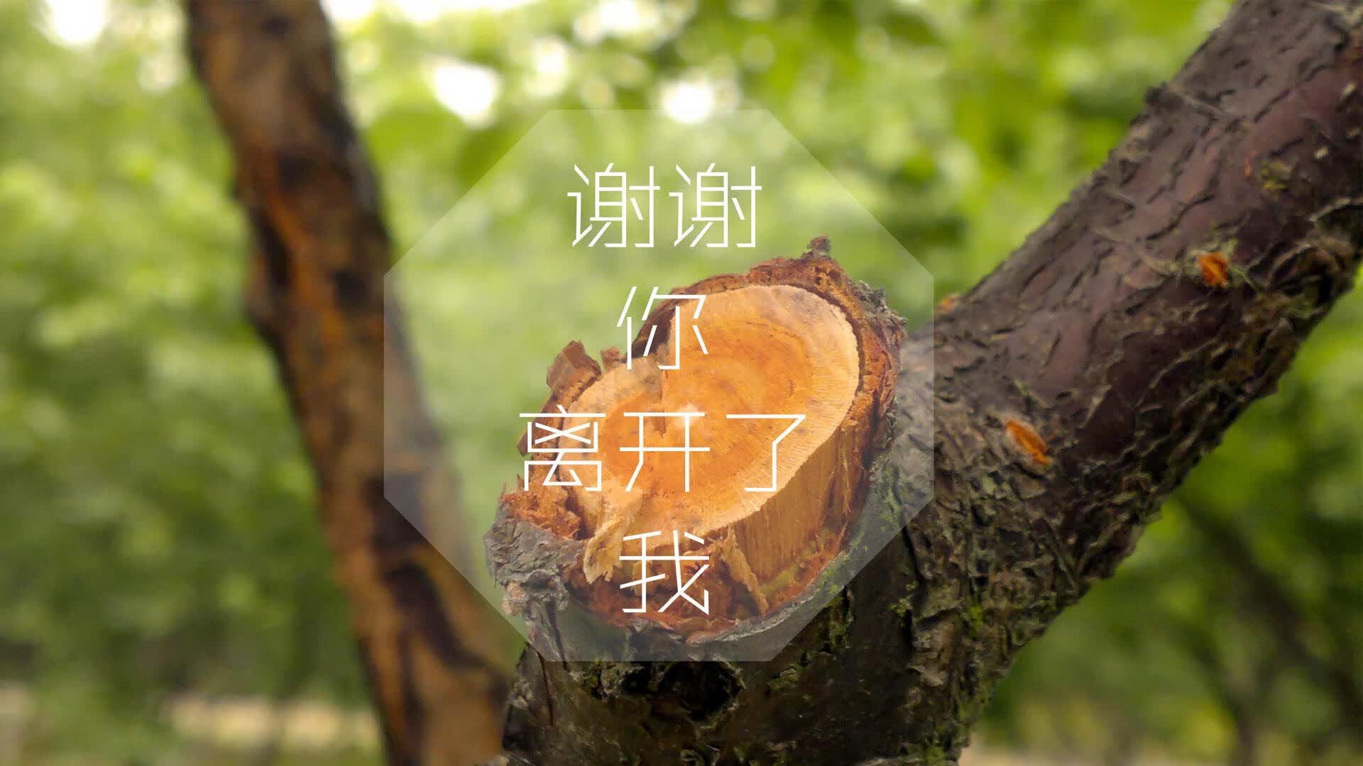 冰与火之战的唯一绝唱,2026世界杯F组,泰国压哨绝杀冰岛,苏亚雷斯书写不老传奇