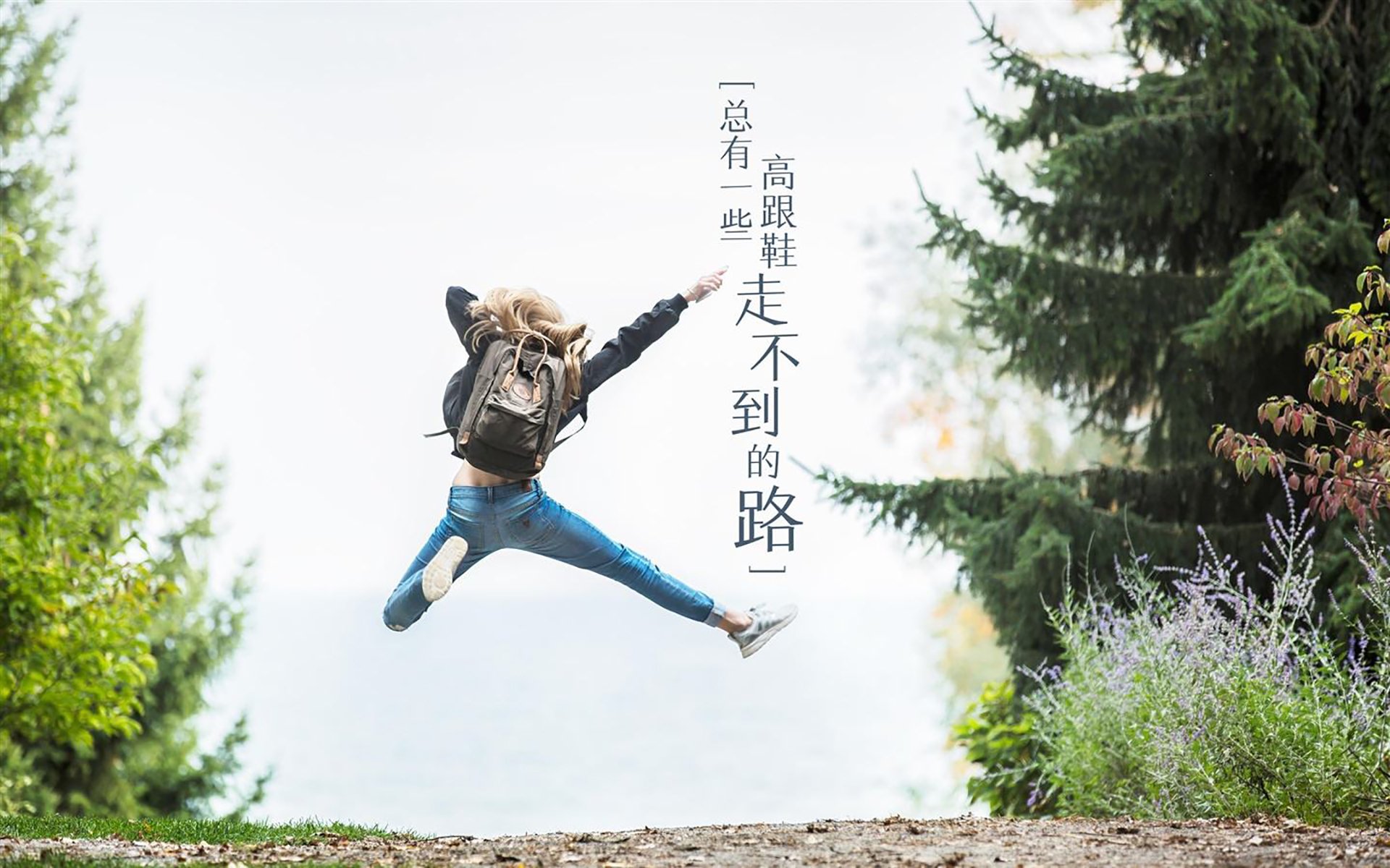 致命一击定乾坤，当阿根廷的沉稳碾压荷兰的华丽，维尼修斯用速度定义唯一